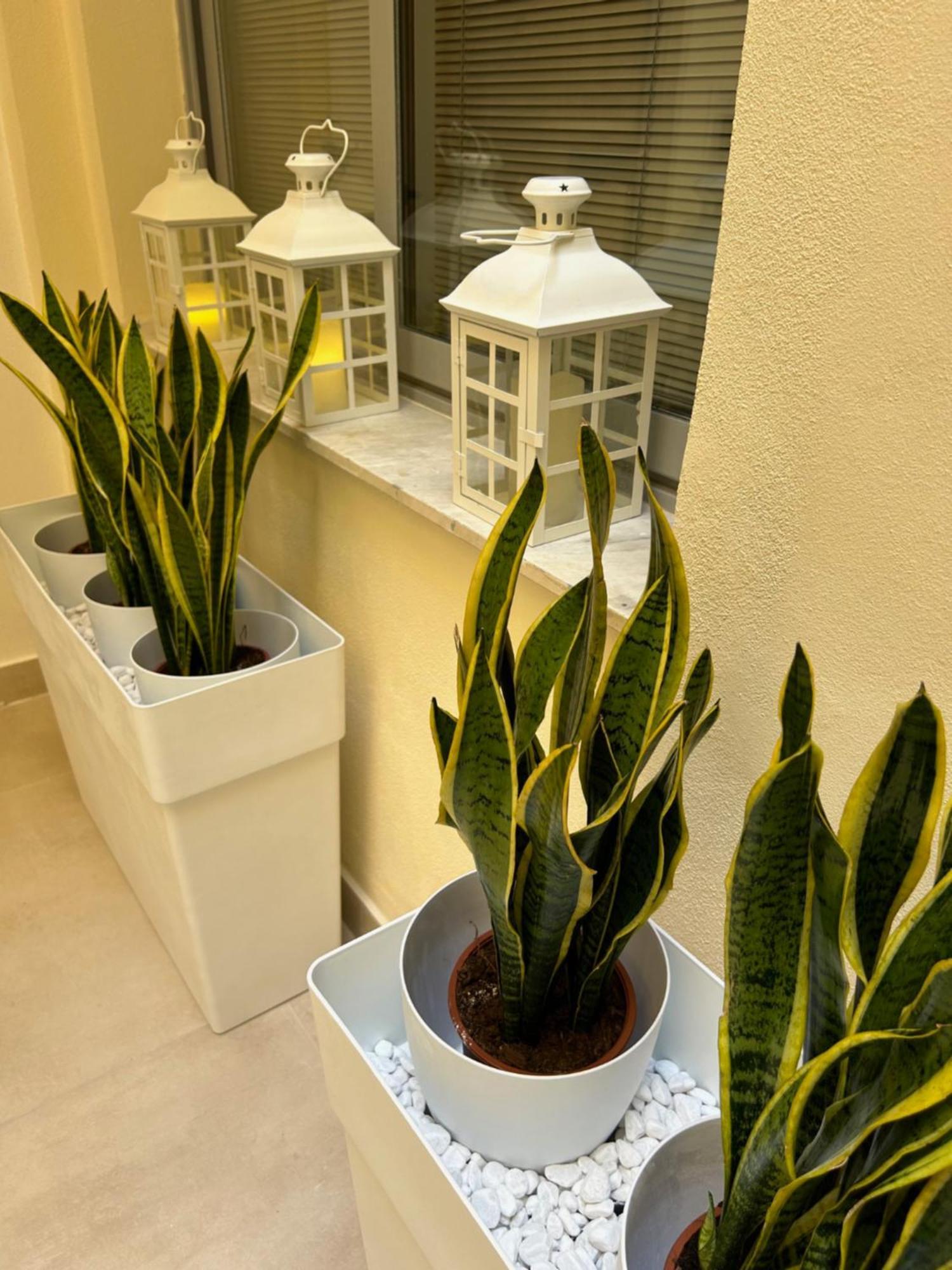 Hotel Casa Lounge Costituzione Cagliari Zewnętrze zdjęcie